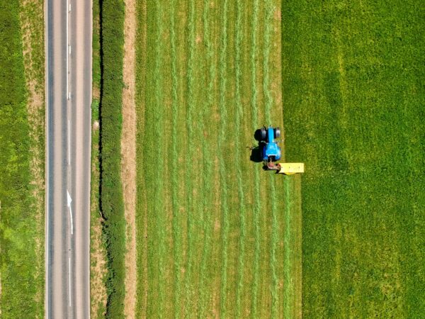 2 people sitting on green grass field during daytime